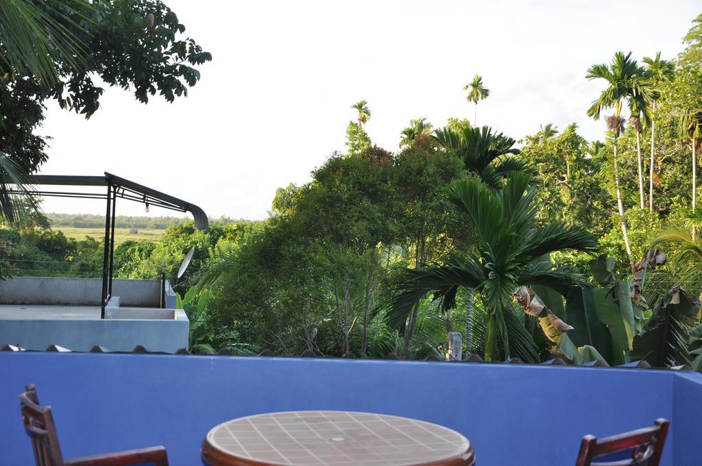Bed and Breakfast The Fence Bentota Exterior foto