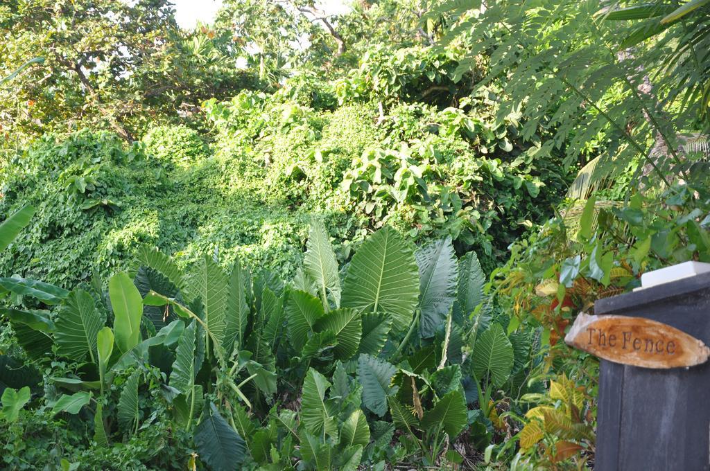 Bed and Breakfast The Fence Bentota Exterior foto